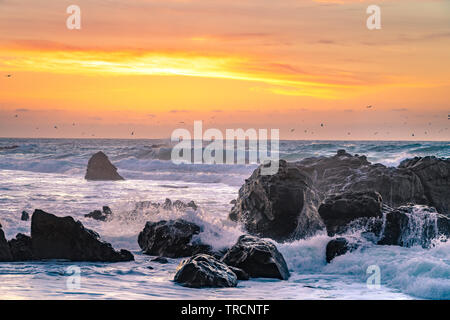 Big Sur, California - Beautiful sunset on a California beach with large waves crashing over rocks and a flock birds flying in the distance.