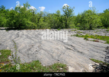Rocky slabs sculpted by erosion, La Ragiaz, Ain, France Stock Photo