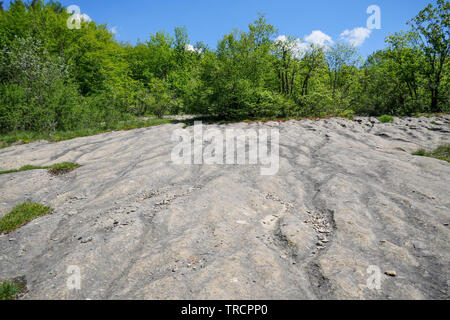 Rocky slabs sculpted by erosion, La Ragiaz, Ain, France Stock Photo
