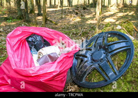 Collecting or picking up trash, garbage and plastic for cleaning in a forest, pollution Stock Photo