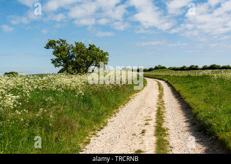 The start of The Ridgeway near Avebury, Wiltshire Stock Photo