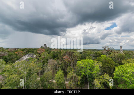 View of the jungle with colorful blooming trees, a dramatic sky and ancient Mayan ruins, from a high platform, in Tikal National Park, Guatemala Stock Photo