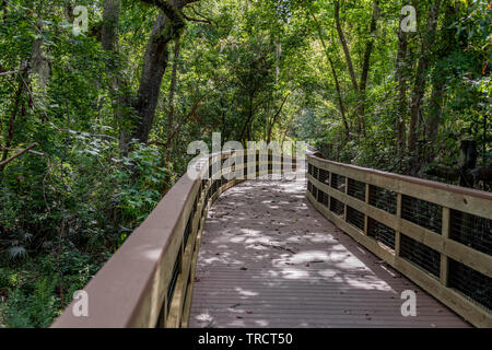 Completed Walk Bridges Stock Photo