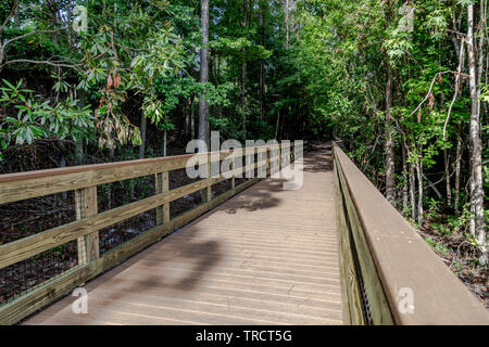 Completed Walk Bridges Stock Photo