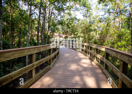 Completed Walk Bridges Stock Photo