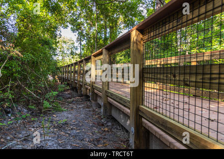 Completed Walk Bridges Stock Photo