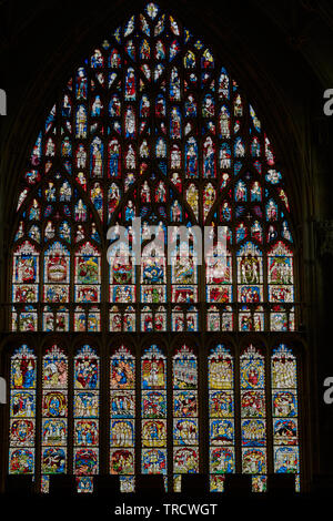 Great East window, the largest medieval stained glass window in Britain, at York minster cathedral, England, illustrating the history of the world fro Stock Photo