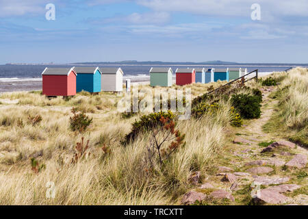 Path through sand dunes above Findhorn beach with colourful beach huts on Moray Firth coast. Findhorn, Moray, Scotland, UK, Britain Stock Photo