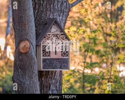 Insect hotel for bugs to provide shelter on tree. Nature sunset in background. Stock Photo