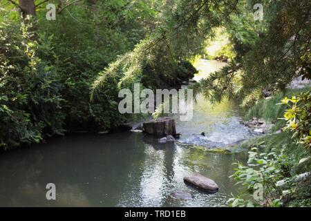 A stream running next to The Martha Springer Botanical Garden on the campus of Willamette University in Salem, Oregon, USA. Stock Photo