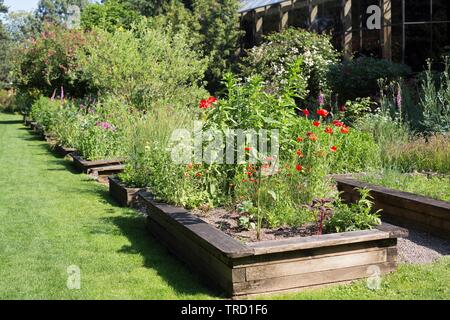 The Martha Springer Botanical Garden on the campus of Willamette University in Salem, Oregon, USA. Stock Photo