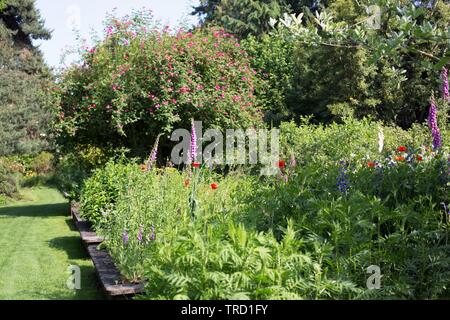 The Martha Springer Botanical Garden on the campus of Willamette University in Salem, Oregon, USA. Stock Photo