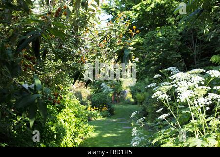 The Martha Springer Botanical Garden on the campus of Willamette University in Salem, Oregon, USA. Stock Photo