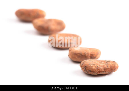 Raw Cocoa Beans Isolated on a White Background Stock Photo
