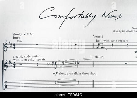 Music For Comfortably Numb From Pink Floyd The Wall Guitar