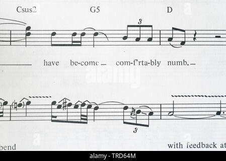 Music For Comfortably Numb From Pink Floyd The Wall Guitar