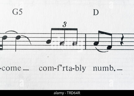 Music For Comfortably Numb From Pink Floyd The Wall Guitar