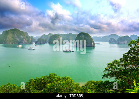 Beautiful landscape Halong Bay view from adove the Ti Top Island. Halong Bay is the UNESCO World Heritage Site, it is a beautiful natural wonder Stock Photo