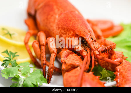 Lobster seafood delicious on white plate with lemon coriander and salad lettuce / Close up of steamed lobster food