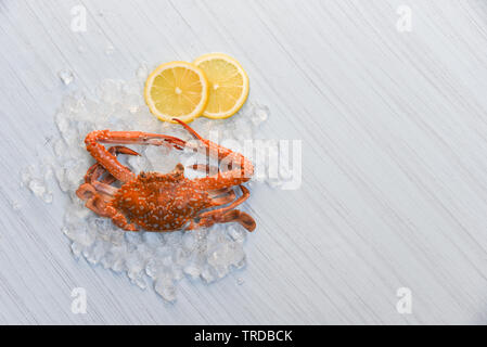 Seafood crab steamed cooked lemon and ice on white wooden background / Blue Swimming Crab Stock Photo