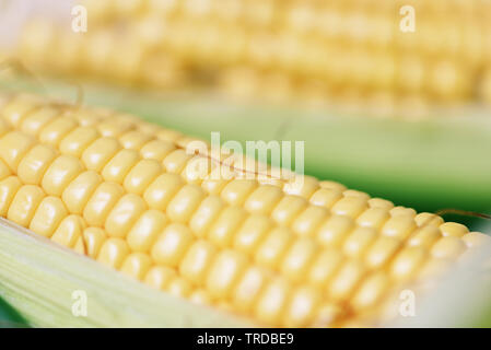 Corn on cobs and sweet corn ears on background close up Stock Photo