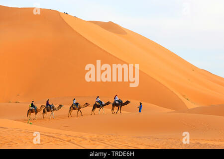caravan with tourists in the sand dunes, Morocco, Merzouga, Erg Chebbi Stock Photo