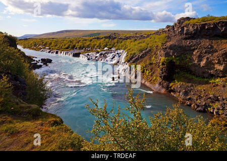 Hraunfossar waterfalls pour into Hvita river, Iceland, West Iceland Stock Photo