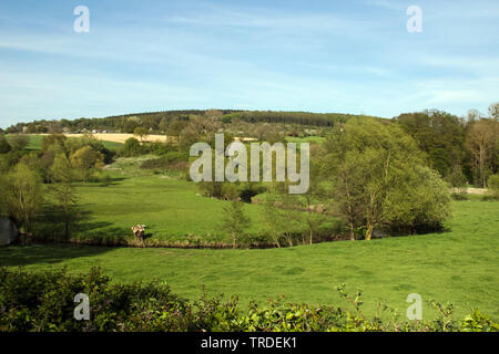 spring landscape in Geuldal, Netherlands, Limburg Stock Photo