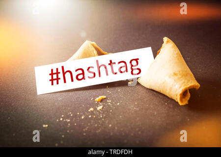 a fortune cookie with message #hashtag Stock Photo