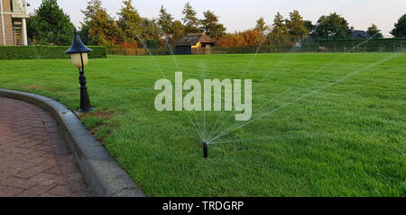 spray irrigation on a lawn in a park, Germany Stock Photo