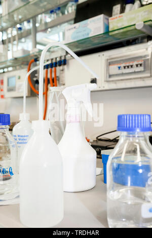 Close up portrait of reseach laboratory with laboratory glassware and laboratory plastic Stock Photo