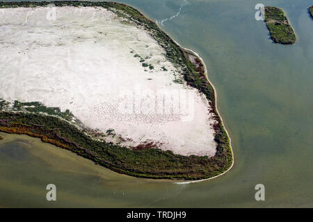 artificial bird island De Kreupel in Ijsselmeer, aerial photo, Netherlands, Northern Netherlands, De Kreupel Stock Photo