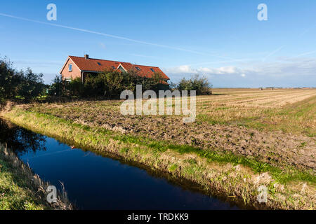 stubble field with farmhouse, Netherlands, Texel Stock Photo