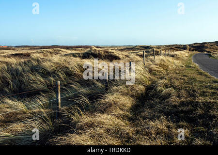 dunes on Texel, Netherlands, Texel, Duenen von Texel Nationalpark Stock Photo