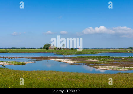 landscape at Texel in spring, Netherlands, Texel Stock Photo