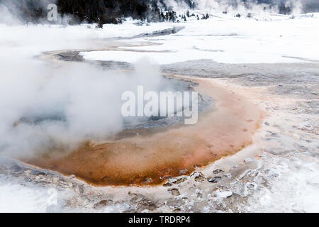 hot spring in winter, USA, Wyoming, Yellowstone National Park Stock Photo
