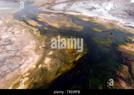 hot spring in Winter, USA, Wyoming, Yellowstone National Park Stock Photo