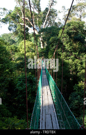 Canopy Walk Danum Valley, Malaysia, Borneo, danum Stock Photo