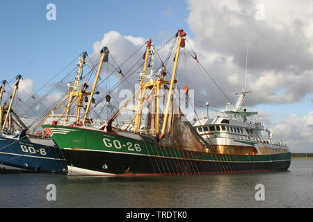 fishing vessel in the harbour, Netherlands Stock Photo