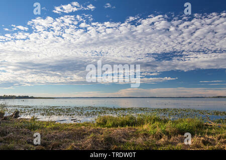 Altocumulus perlucidus above lake Chiemsee, Germany, Bavaria, Lake Chiemsee Stock Photo