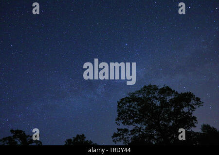 starry night on Kehrenberg, Steigerwald, Germany, Bavaria, Middle Franconia, Mittelfranken, Bad Windsheim Stock Photo