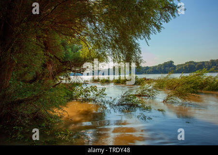 Danube Floodplains National Park, Austria, Danube-Auen National Park, Haslau Stock Photo