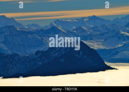 montain wood with mist, view from montain Kampenwand, Hohe Tauern in the background, Germany, Bavaria, Chiemgauer Alpen Stock Photo