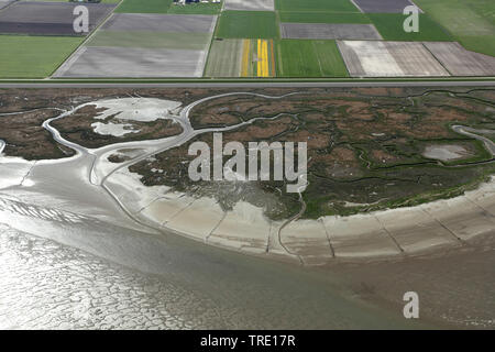 De Schorren is a tidal nature reserve on Texel, Netherlands, Texel Stock Photo