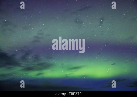 northern lights, Iceland Stock Photo