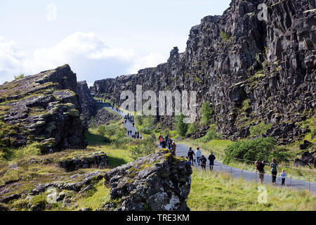 Almannagja, rift valley between the Eurasian and North-American plates, Iceland, Thingvellir National Park