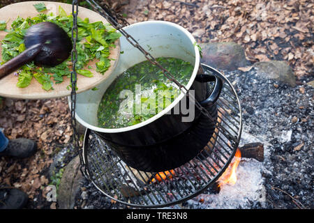 herb soup campfires, Germany Stock Photo