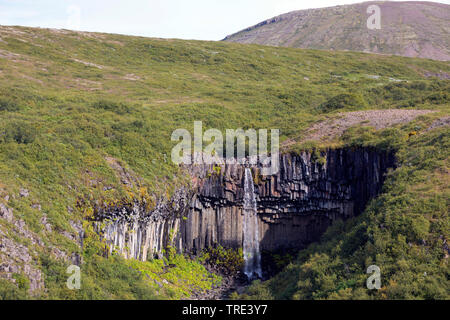 waterfall Svartifoss, Iceland, Skaftafell National Park Stock Photo