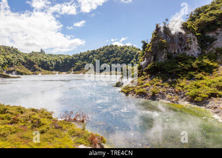 View of a volcanic lake at Waimangu Volcanic Rift Valley in New Zealand, New Zealand, Northern Island, Waimangu Stock Photo