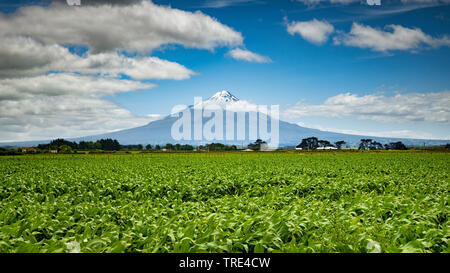 Mount Taranaki in New Zealand, New Zealand, Northern Island, Taranaki Stock Photo